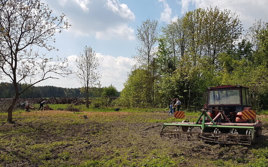 W czynie społecznym wspólnie uporządkowali działkę