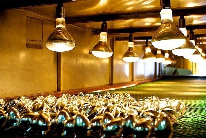 Idealne miejsce na jednodniową wycieczkę szkolną