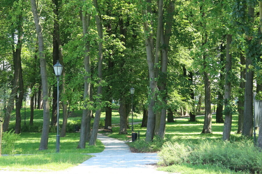 Wolski park podoba się urbanistom