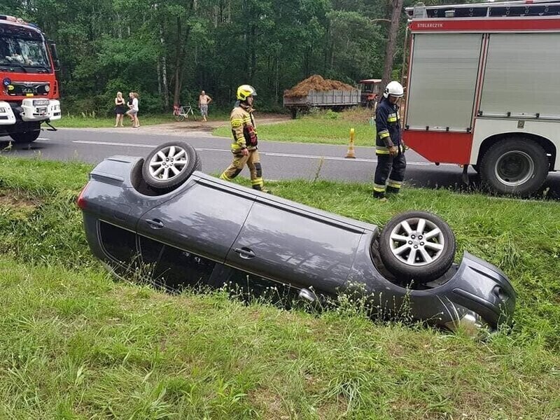 Podróż zakończyli w rowie