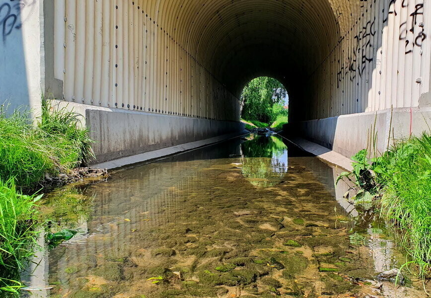 Czy piotrkowskie rzeki mogą zalać nasze miasto