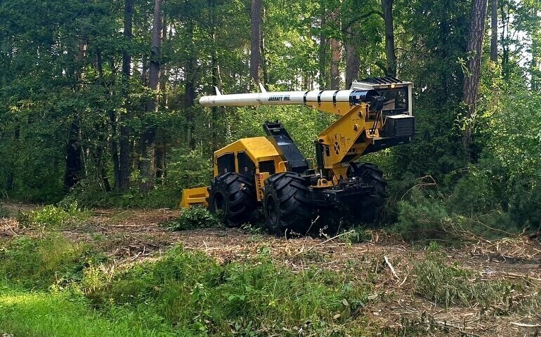 Przecinka między Kołem a Przygłowem