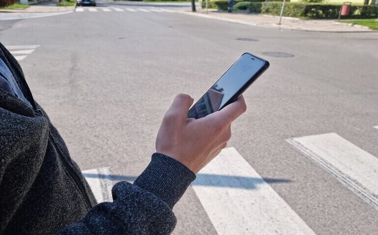 Wchodzą na pasy jak święte krowy