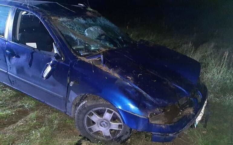 Nietrzeźwa 20-latka dachowała seatem