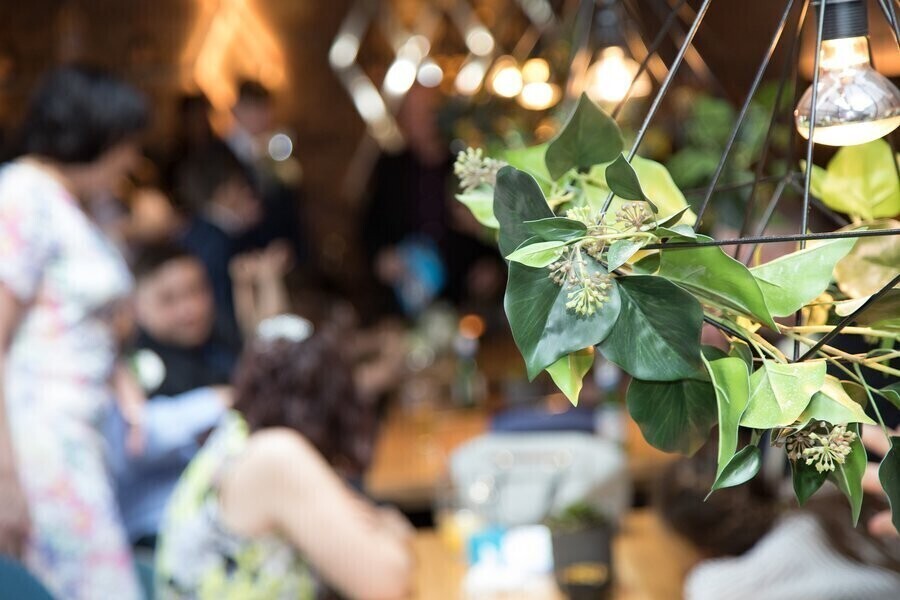 Tragedia na weselu. Nie żyje 21-latka