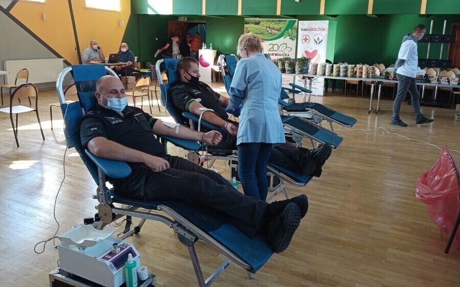 Ponad 25 litrów krwi dla Olka Kacpra i Łukasza