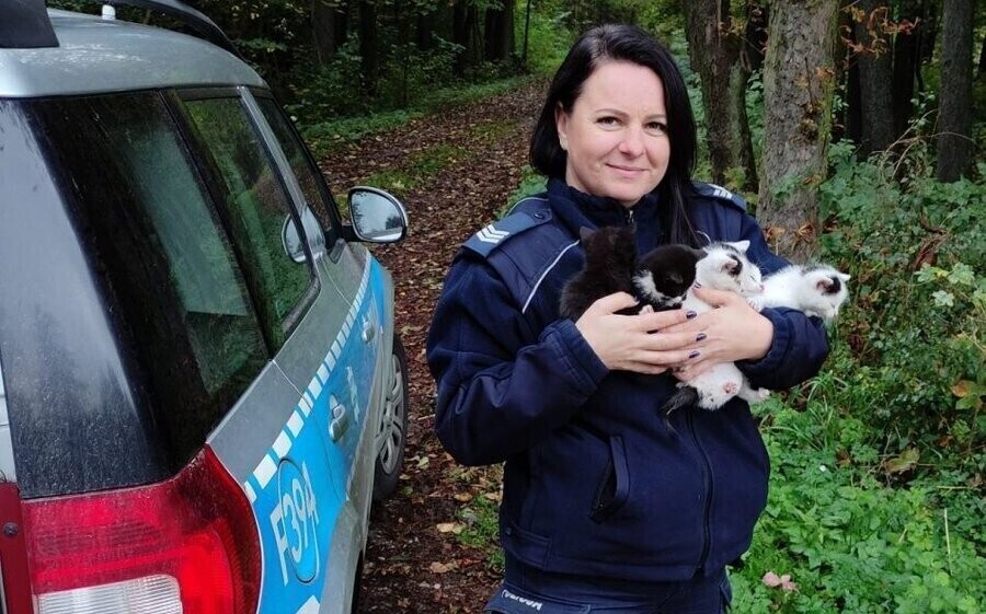 Uratowane od pewnej śmierci