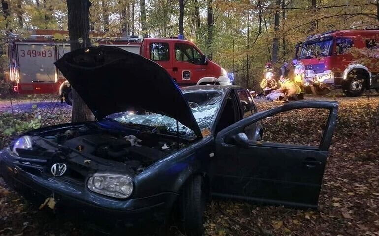 Pijany wjechał w drzewo