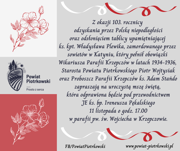 Powiatowe obchody Święta Niepodległości