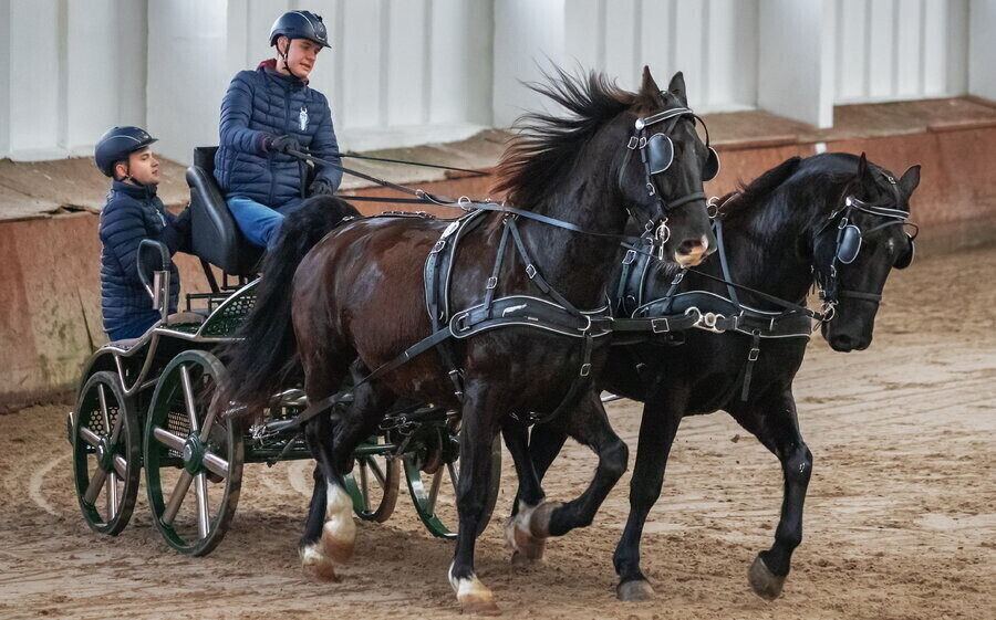 W Bogusławicach rywalizowali podczas zawodów w powożeniu