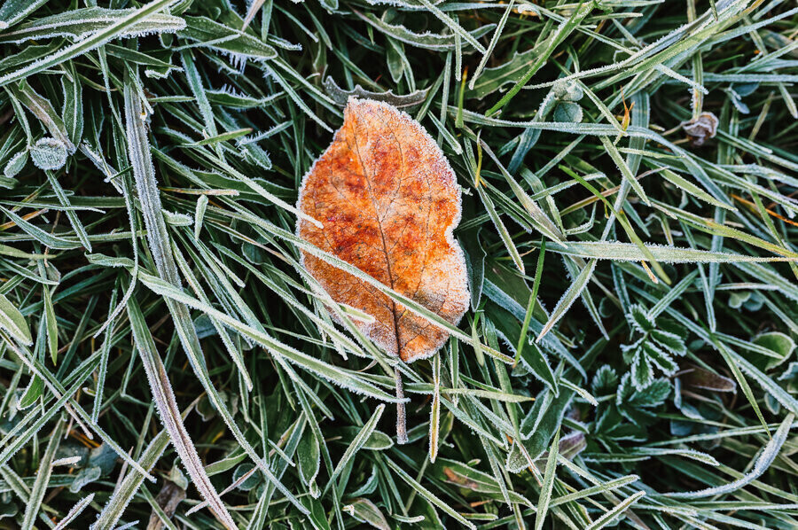 Nadchodzi zimowy weekend