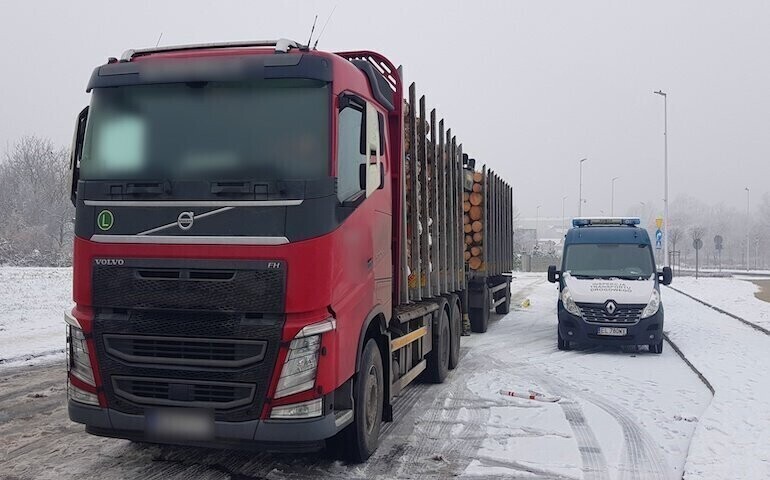 13 ton drewna za dużo