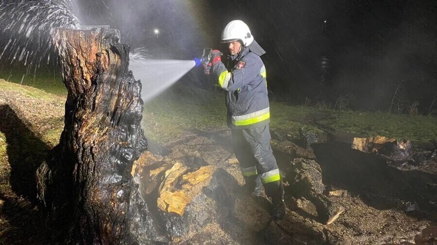 Spłonęła 100-letnia sosna