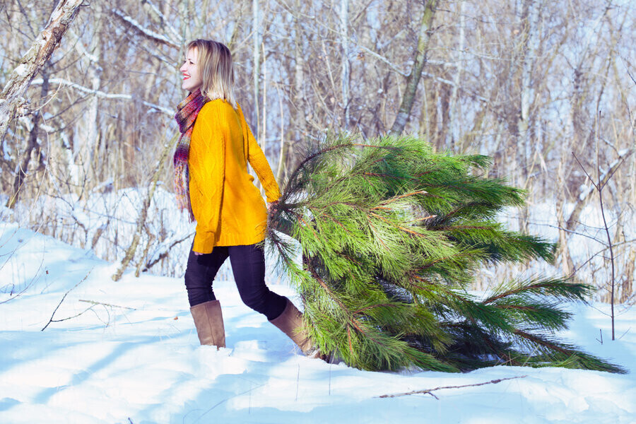 Nie niszczmy lasów Straż Leśna prowadzi kontrole