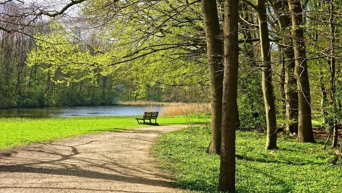 Piękne i praktyczne