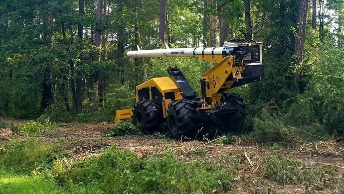 Przecinka między Kołem a Przygłowem