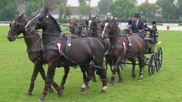 Będą powozić w Bogusławicach