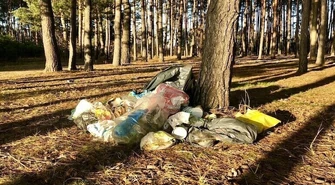 Będzie więcej kamer w lasach. To bat na śmieciarzy, złodziei drewna i kłusowników