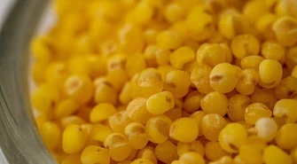 Zalety kaszy jaglanej w zdrowym żywieniu