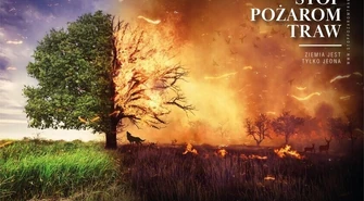 Tysiące zwierząt co roku ginie w płomieniach