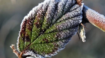 Jaka pogoda na święta?