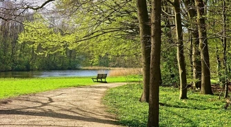 Piękne i praktyczne