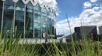 Bycie eko się opłaca – największy bank w Polsce wspiera transformację energetyczną kraju