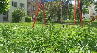 Trawa po kolana i pokrzywy po pas straszą na piotrkowskim osiedlu