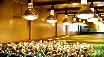 Idealne miejsce na jednodniową wycieczkę szkolną