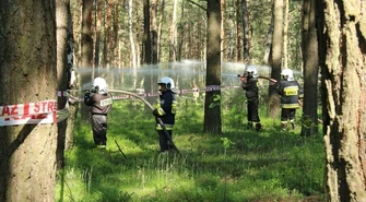 Ćwiczyli, jak gasić las