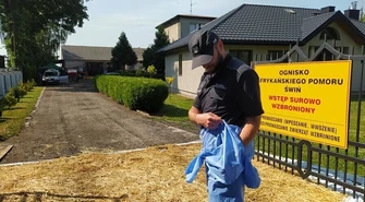 Osadzeni pomagają w walce z ASF-em