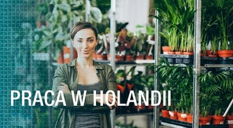 Praca w Holandii – Czy warto wyjechać?
