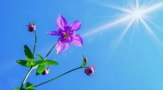 W Sulejowie padł rekord