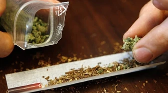 Marihuana jednak może mieć związek z twardymi narkotykami