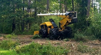 Przecinka między Kołem a Przygłowem