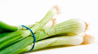 Cebula dymka – zdrowa, smaczna i łatwa w uprawie