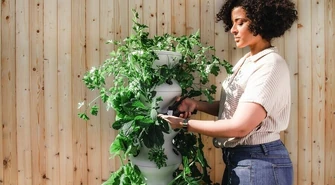 Jak przycinać drzewa i krzewy ozdobne na wiosnę?