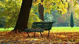 Synoptyk IMGW: poniedziałek z temperaturą do 23 stopni