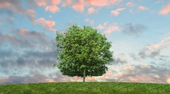 Czy warto zainteresować się gazetkami online? Tak, zwłaszcza jeśli masz na uwadze dobro swojego środowiska!