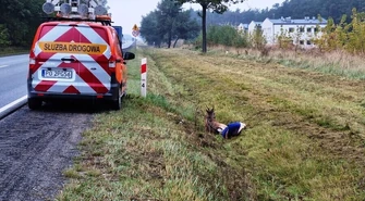 Słuchacze Strefy FM zaalarmowali o rannym danielu