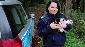 Uratowane od pewnej śmierci