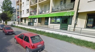 Martwe szczenięta w śmieciach przy Próchnika