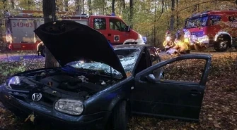 Pijany wjechał w drzewo