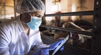 Wracamy do niebieskiej strefy ASF