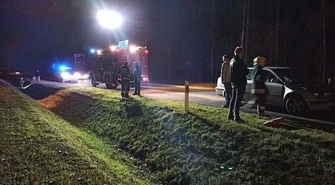 Samochód zderzył się z jeleniem