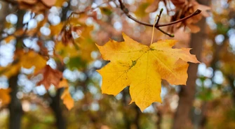 Jaka pogoda w weekend?