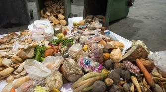 Ekspertka: Polacy w ciągu roku marnują niemal pięć milionów ton żywności