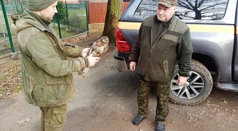 Ranne myszołowy w Osadzie Leśnej