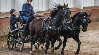 W Bogusławicach rywalizowali podczas zawodów w powożeniu