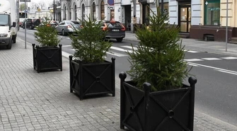 Choinki w centrum Piotrkowa